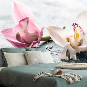 Fototapeta romantické kvety divokej orchidey