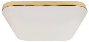 Stropné LED svietidlo Nemo, 1x LED 17w, 4000k, g