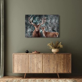 Obraz - Jeleň a laň v zasneženom lese (90x60 cm)