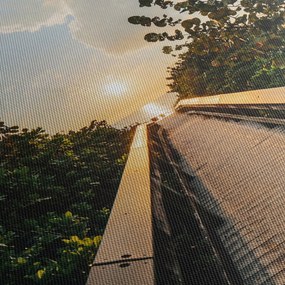 Obraz - cesta k slnku (90x60 cm)