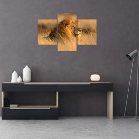 Obraz - Národný park Etosha (90x60 cm)