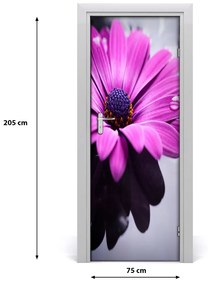 Samolepiace fototapety na dvere ružová gerbera 75x205 cm