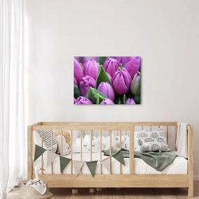 Obraz - kvety tulipánov (70x50 cm)
