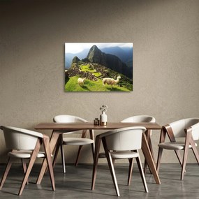 Sklenený obraz - Machu Picchu (70x50 cm)