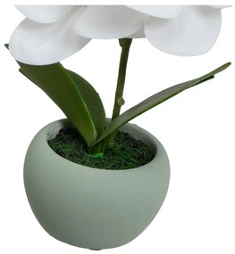 Umelé rastliny v súprave 3 ks (výška 15 cm) Orchid – Casa Selección