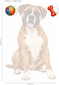 Boxer s loptičkou a kosťou akvarelové textilné nálepky na stenu pre milovníkov boxerov arch 31 x 46 cm