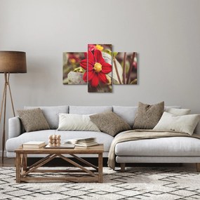 Obraz kvetiny (90x60 cm)