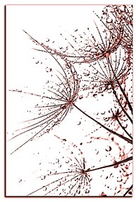 Obraz na plátne - Pampeliškové semienka s kvapkami vody - obdĺžnik 7202KA (75x50 cm)