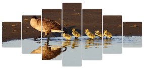 Kačica s mláďatami - obraz