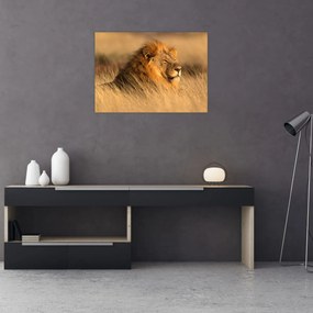 Sklenený obraz - Národný park Etosha (70x50 cm)