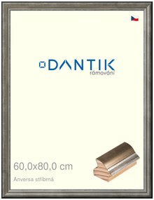 DANTIK rám na obraz 60x80 | ANIVERSA stříbrná (Plexi Čiré)