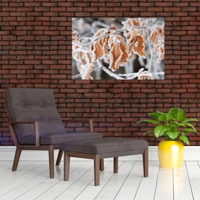 Obraz - Zamrznuté listy (90x60 cm)