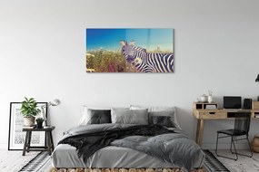 Obraz na akrylátovom skle Zebra kvety 125x50 cm