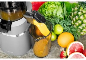 Concept LO7120 - Šnekový odšťavňovač JUICY 250W/230V šedá