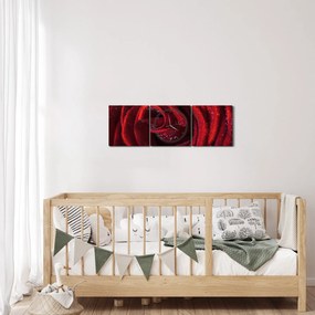 Obraz - Červená ruža s kvapkami rosy (s hodinami) (90x30 cm)