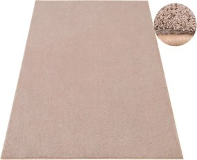Koberec AMAZING 110 púdrovoružový