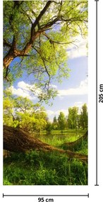 Fototapeta na dvere - Jarná lúka (95x205cm)