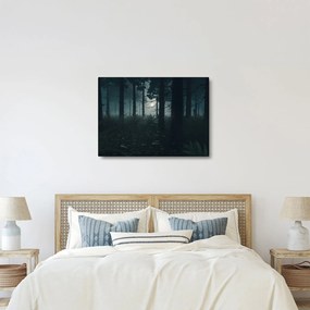 Obraz - Paprade v mesačnom svite (70x50 cm)