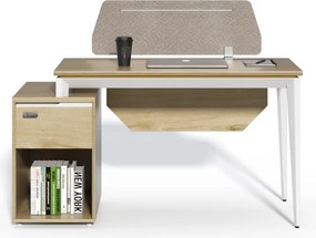 Kancelársky stôl s skrinkou Houseland Profit Max 03 1406 dub/biely