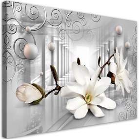 Obraz na plátně, Květiny v tunelu a stříbrných 3D koulích - 120x80 cm