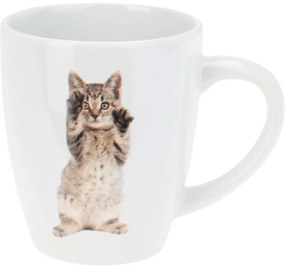 Súprava kameninových hrnčekov Cats 3 ks, 220 ml