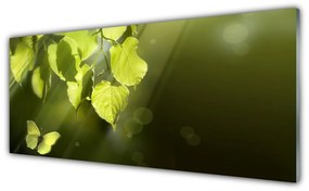 Obraz plexi Listy slnko lúče 125x50 cm