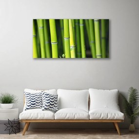 Obraz na plátne Bambus príroda rastlina 100x50 cm