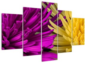 Obraz - detail kvetov (150x105 cm)