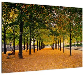 Obraz aleje jesenných stromov (70x50 cm)
