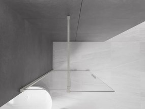 Mexen Velar, sprchová zástena s posuvnými dverami Walk-in 100 x 200 cm, 8mm číre sklo, brúsená oceľ, 871-100-000-03-97