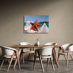 Obraz morskej hviezdice (70x50 cm)