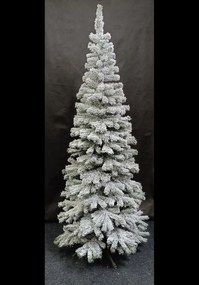 Jedlička Karolina so snehom 240cm