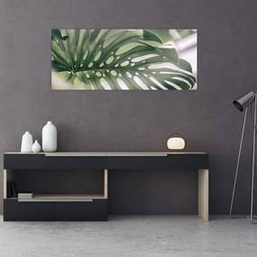 Obraz - List monštier (120x50 cm)