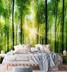 Gario Fototapeta Slnko svieti cez koruny stromov Materiál: Vliesová, Rozmery: 300 x 300 cm