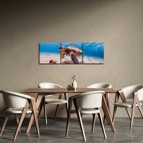 Obraz korytnačky v oceáne (s hodinami) (90x30 cm)