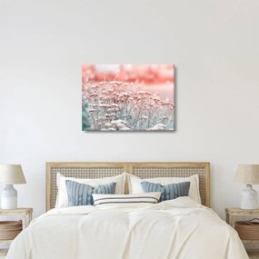 Obraz - Lúčne kvety (70x50 cm)