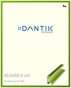 DANTIK rám na obraz 40x50 | ALU Zelená Smaragd broušená (Plexi Čiré)