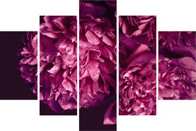 Obraz - Kytica pivoniek (150x105 cm)