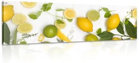 Obraz zmes citrusových plodov Varianta: 120x40