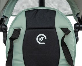 Ramiz Trojkolka RIDER Zelená SPORTRIKE