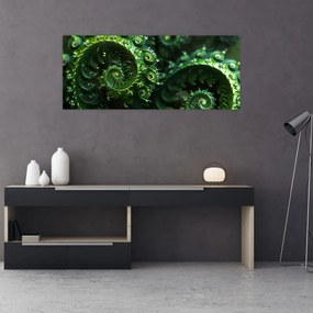 Obraz - Špirály (120x50 cm)