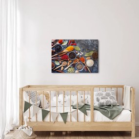 Obraz - Korenie (70x50 cm)