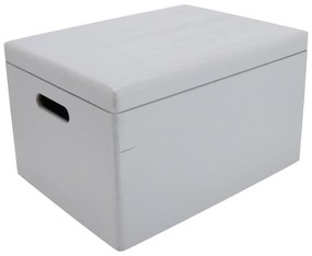 ČistéDrevo Drevený box s vekom 40 x 30 x 23 cm - sivý