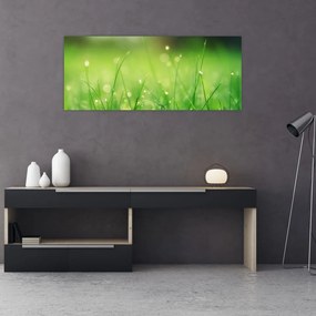 Obraz - rosa na tráve (120x50 cm)