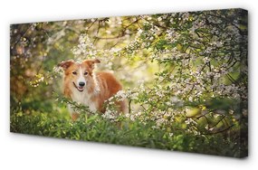 Obraz na plátne Psie lesné kvety 140x70 cm
