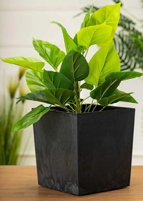 Kvetináč Flore 19x19 cm čierny betón