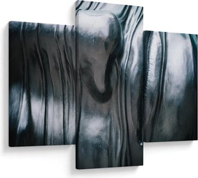 Obraz - Tvár z ocele (90x60 cm)