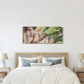 Obraz veveričky na strome (120x50 cm)