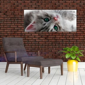 Obraz - Mačka so zelenými očami (120x50 cm)