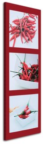 Obraz na plátně Červené chilli papričky - 30x90 cm